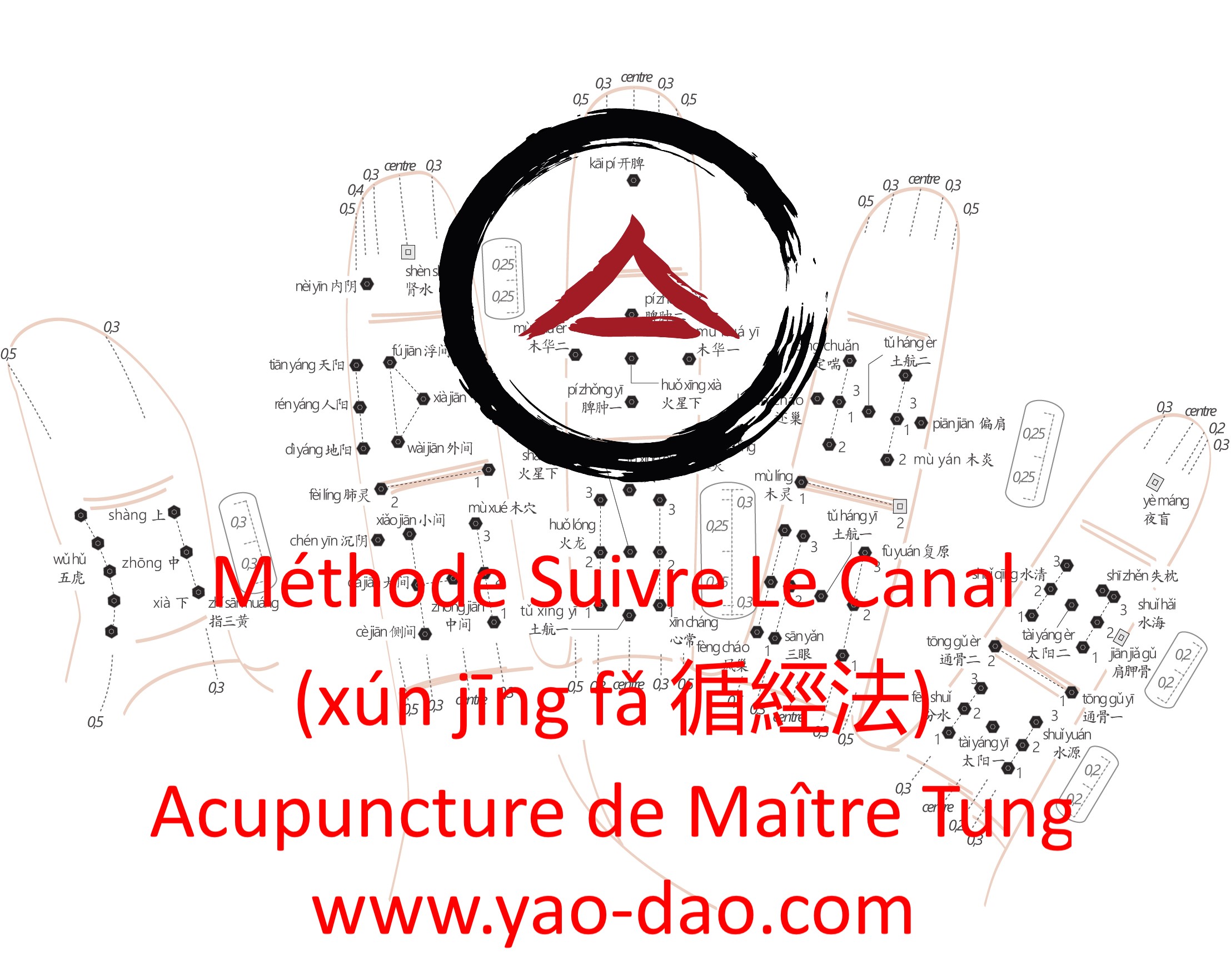 XJF : La méthode de la saignée