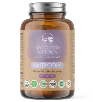 Antrodia (gélules)